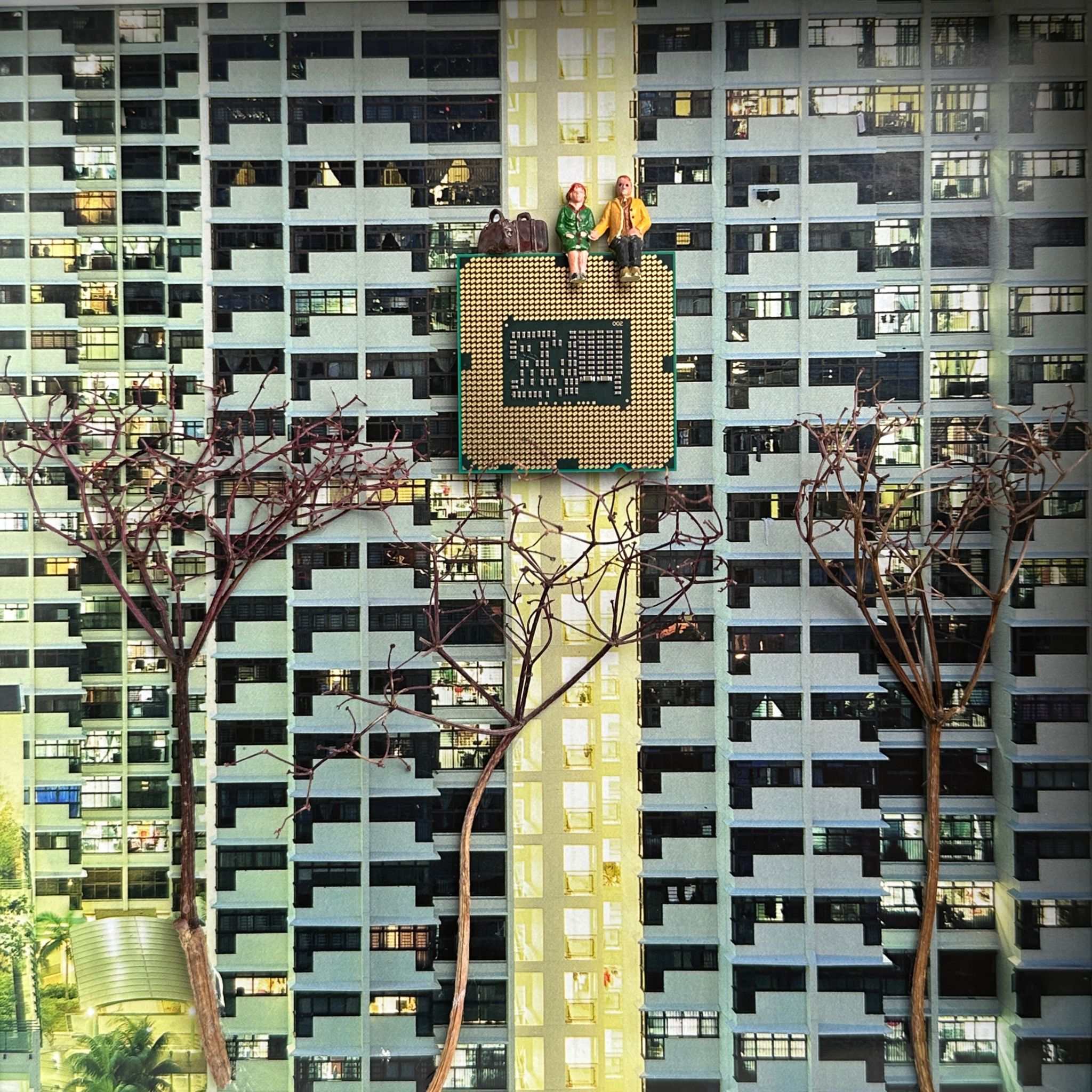 Dürre  Collage 20x20 cm